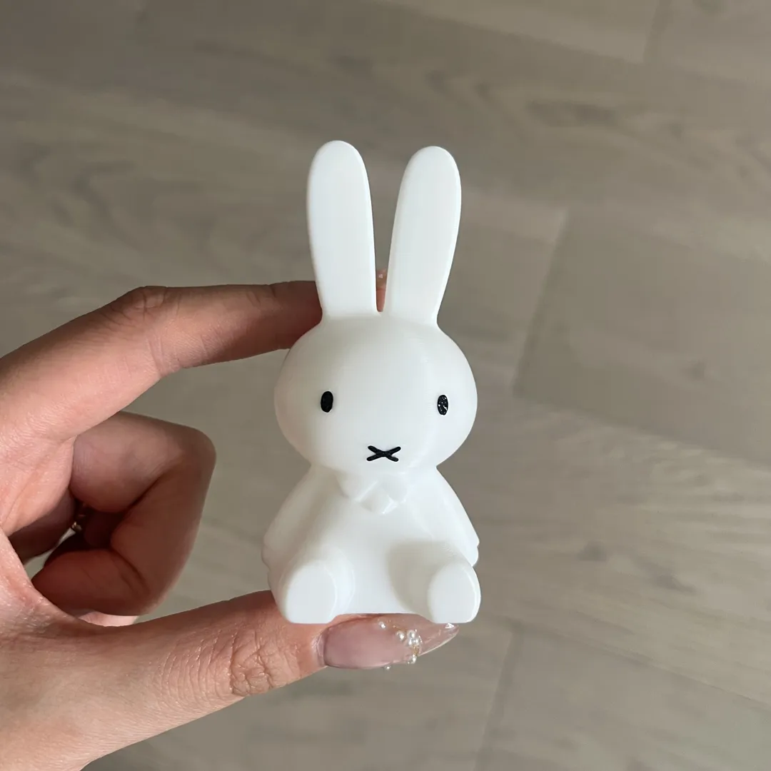 Miffy polaroid